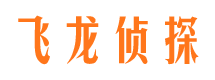 卢氏市侦探公司